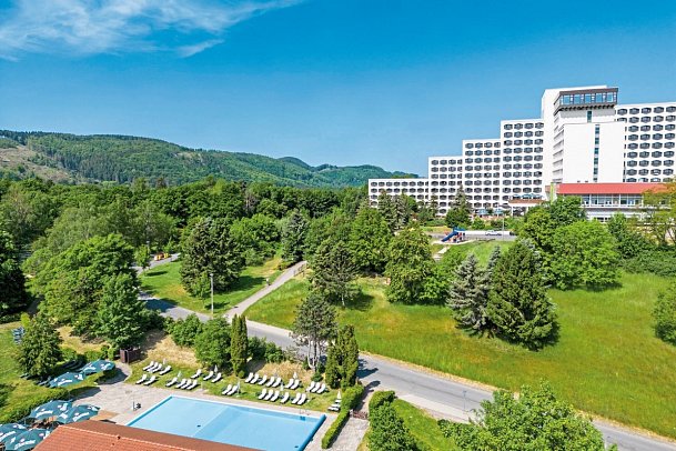 AHORN Berghotel Friedrichroda - AHORN Berghotel Friedrichroda