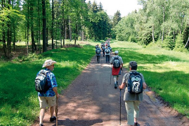 AHORN Berghotel Friedrichroda - Wandern