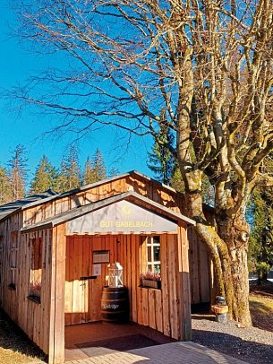 Berg & Spa Hotel Gabelbach