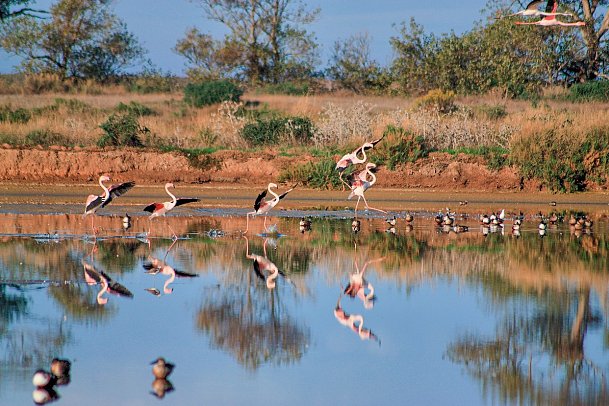 Die Highlights der Algarve erwandern