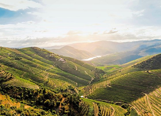 Portugal – Land der reizvollen Kontraste (10 Nächte, inkl. Mietwagen, ab Faro) - Douro-Tal