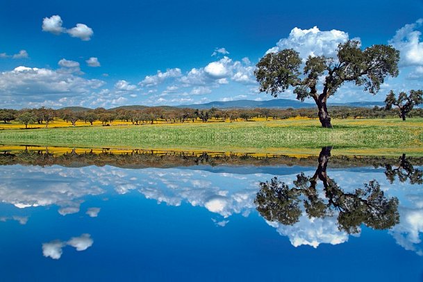 Portugal – Land der reizvollen Kontraste (14 Nächte, inkl. Mietwagen, ab Faro) - Alentejo
