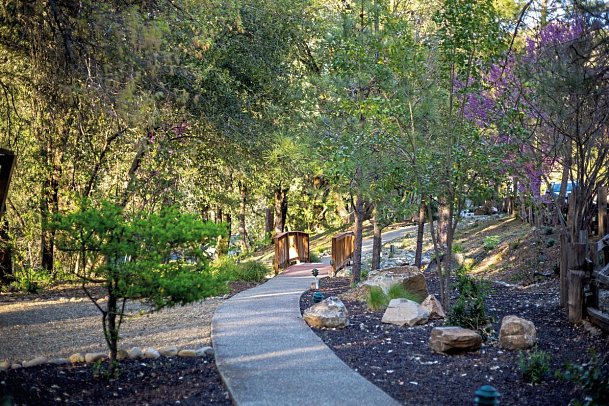 Yosemite Cedar Lodge