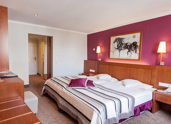 Hotel Lindauer Hof - Wohnbeispiel Doppelzimmer Standard (Zimmercodierung DG1)