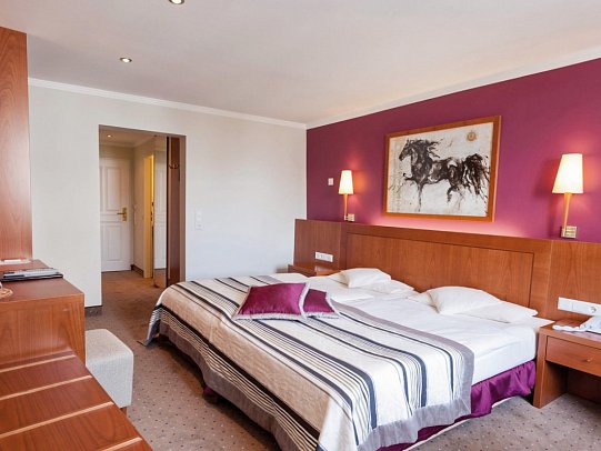 Hotel Lindauer Hof - Wohnbeispiel Doppelzimmer Standard (Zimmercodierung DG1)