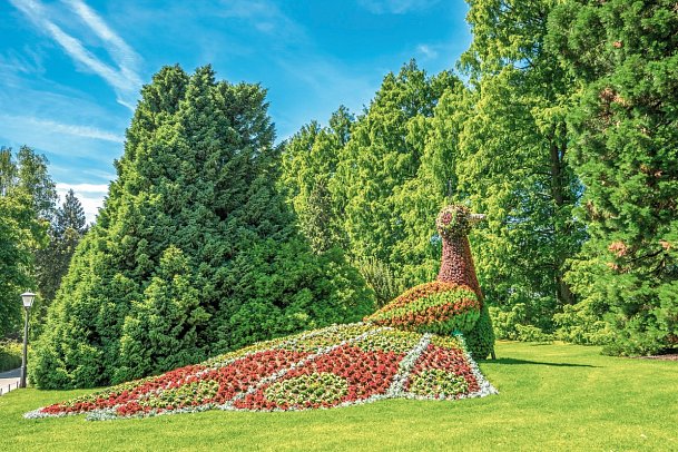 Bodensee - Genussradeln der Extraklasse - Insel Mainau