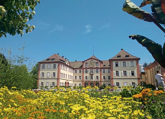 Bodensee - Genussradeln der Extraklasse