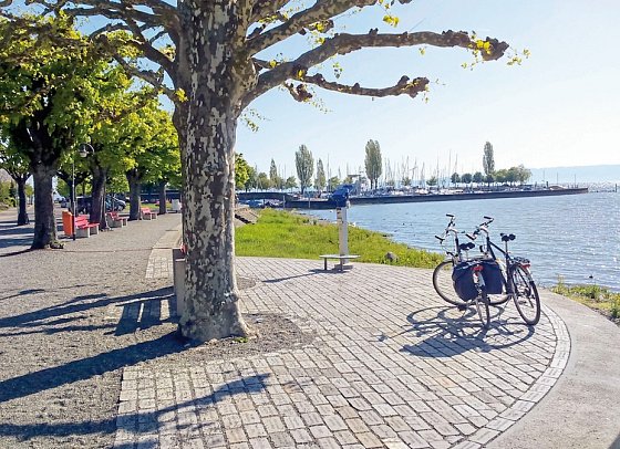 Bodensee - Genussradeln der Extraklasse