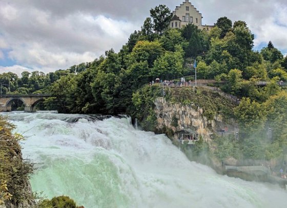 Bodensee - Genussradeln der Extraklasse