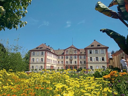 Bodensee-Radweg - Das Schönste
