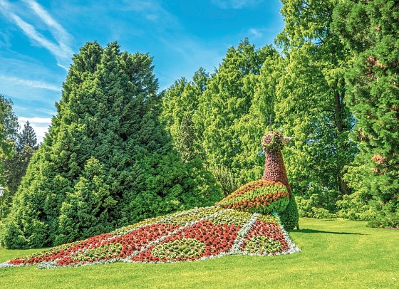 Bodensee-Radweg - Das Schönste - Insel Mainau