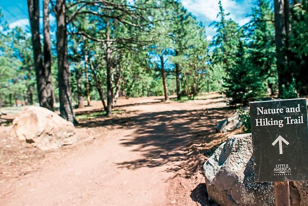 Little America Flagstaff