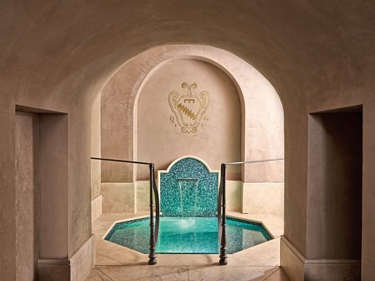 Villa La Massa - Arno Spa