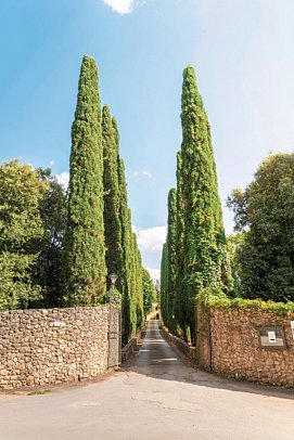Borgo San Luigi