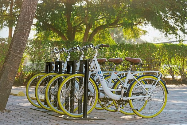 Best Western Naples Inn & Suites