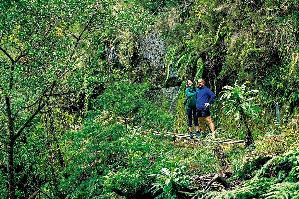Madeiras Highlights erwandern - Wanderung in traumhafter Umgebung