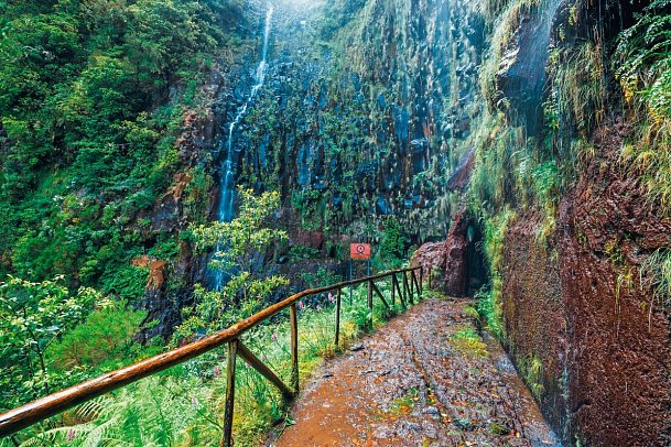 Madeiras Highlights erwandern