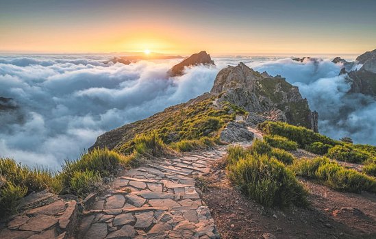 Madeiras Highlights erwandern