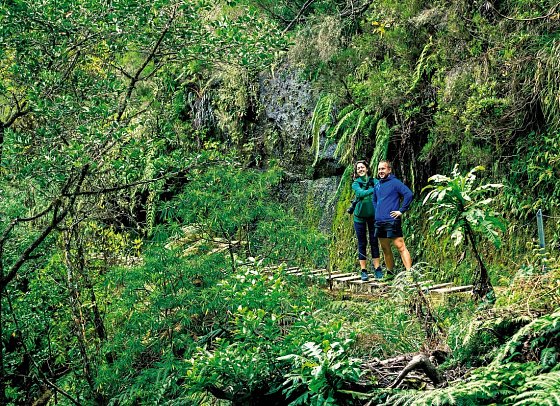 Madeiras Highlights erwandern - Wanderung in traumhafter Umgebung