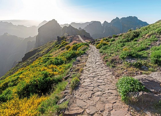Madeiras Highlights erwandern