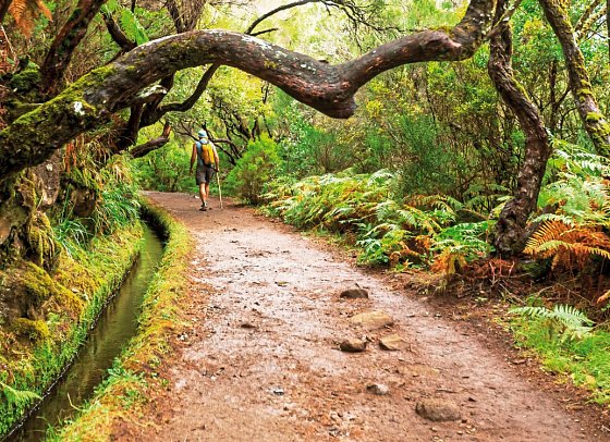 Madeiras Highlights erwandern - Madeira