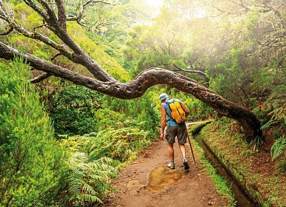Die besten Seiten von Madeira - Levada-Wanderung