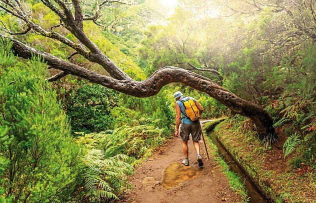 Die besten Seiten von Madeira - Levada-Wanderung