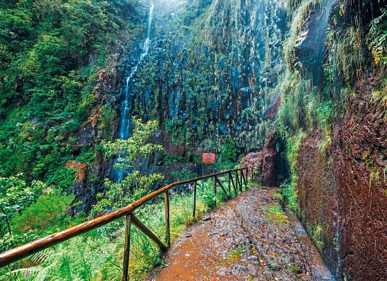 Die besten Seiten von Madeira - Madeira