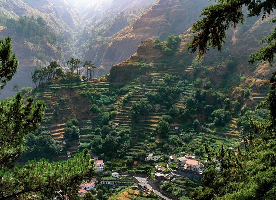Die besten Seiten von Madeira