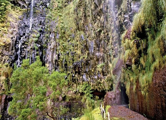 Die besten Seiten von Madeira - Wasserfall auf Madeira