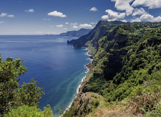 Levadas, üppige Vegetation und raue Küsten
