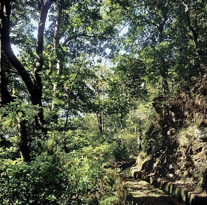 Madeira - Grüne Trauminsel im Atlantik - Levada