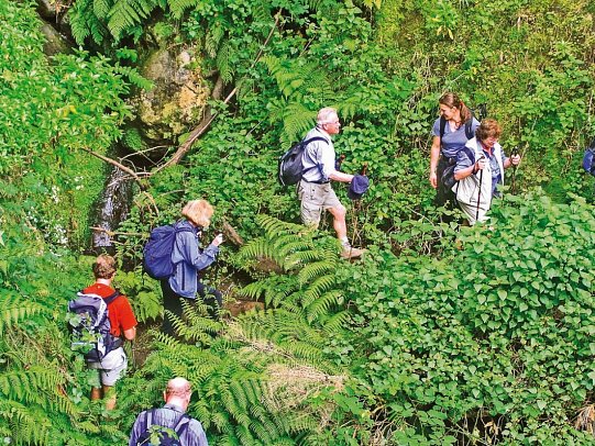 Madeira - Grüne Trauminsel im Atlantik