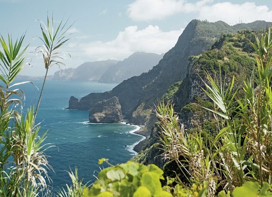 Madeira - Grüne Trauminsel im Atlantik - Madeira