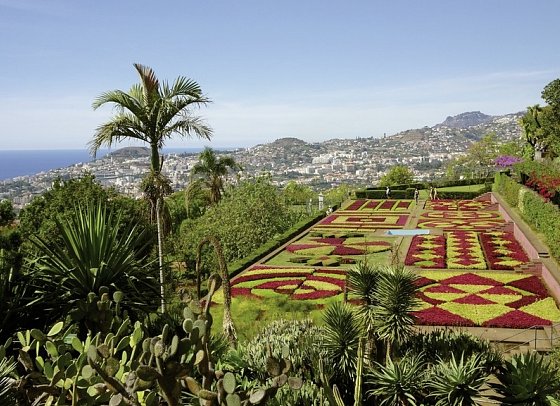Rund um Madeira