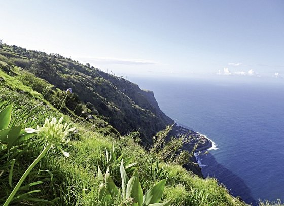 Rund um Madeira