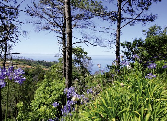 Rund um Madeira