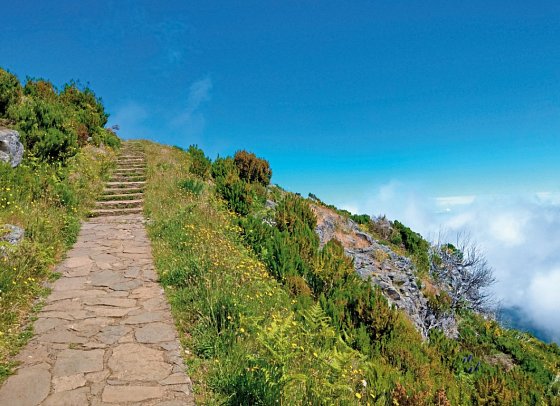 Rund um Madeira