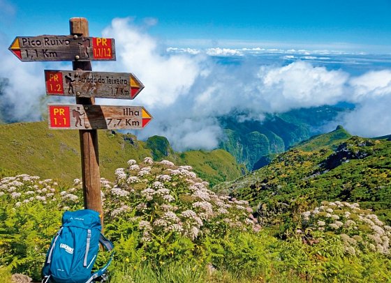 Rund um Madeira