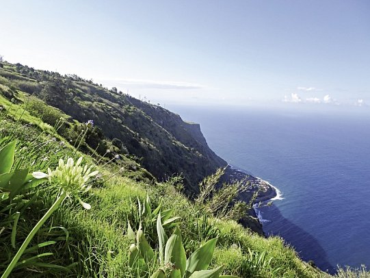 Rund um Madeira