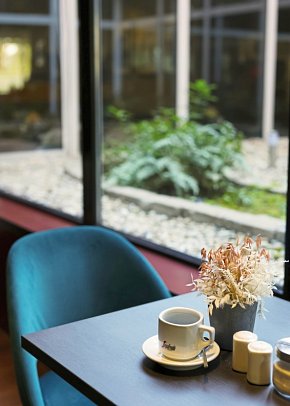 ibis Frankfurt Centrum Hotel