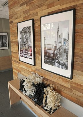 ibis Frankfurt Centrum Hotel