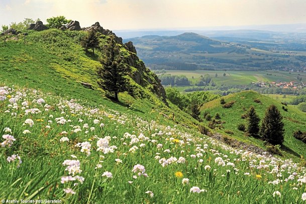 Hotel Gersfelder Hof