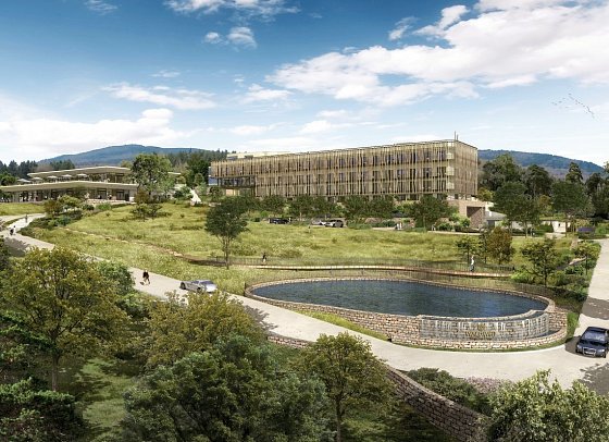WALD.WEIT Rheingau Hotel & Retreat