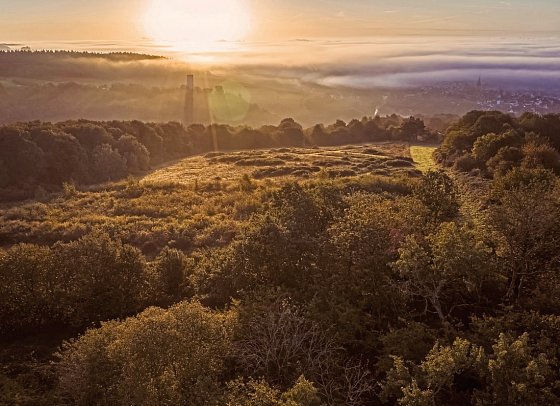 WALD.WEIT Rheingau Hotel & Retreat