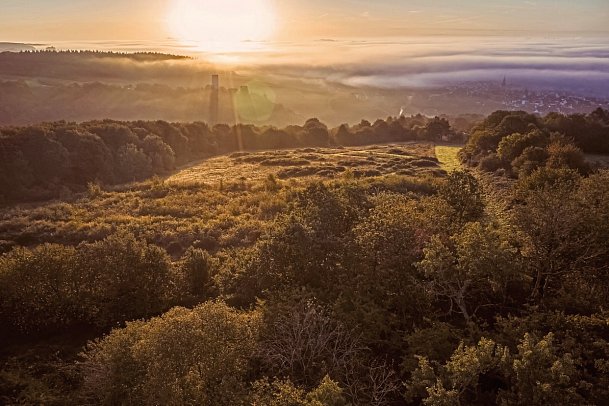 WALD.WEIT Rheingau Hotel & Retreat