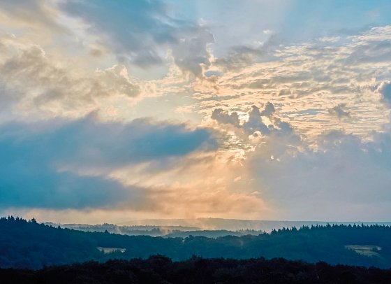 WALD.WEIT Rheingau Hotel & Retreat