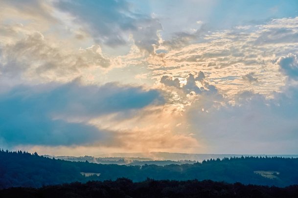 WALD.WEIT Rheingau Hotel & Retreat