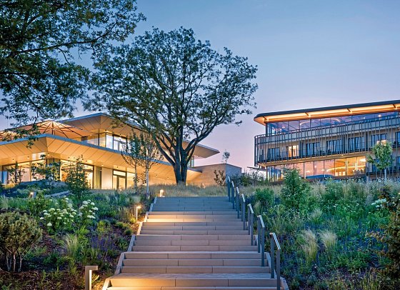 WALD.WEIT Rheingau Hotel & Retreat