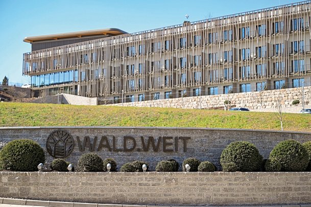 WALD.WEIT Rheingau Hotel & Retreat